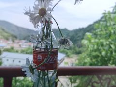 -山里人家
