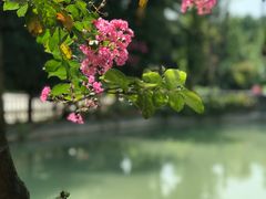 -水岸庭院·乡村柴火鸡