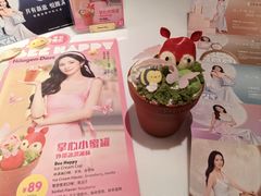 掌心小蜜罐-哈根达斯(武汉天地店)
