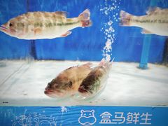 -盒马鲜生(和谐广场店)