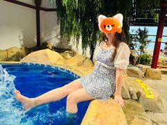 -圣和汤泉•汗蒸温泉自助