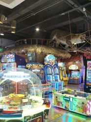 -卡通尼·Safari非洲探索乐园·生日会(金桥国际商业广场店)