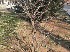 -北京外国语大学东院食堂