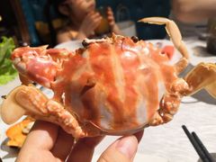 -领鲜活海鲜榴莲自助火锅(东门店)