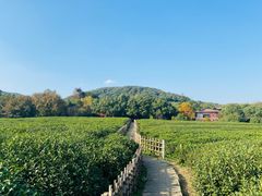 -中国茶叶博物馆(双峰馆区)