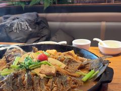 -老板恋上鱼(恒隆广场店)