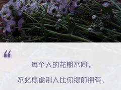 -裕龙汤泉