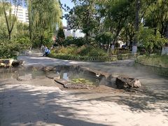 -文瀛公园