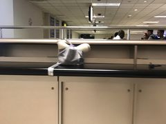 -班达拉奈克国际机场