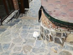 -北京水岸山吧度假村(雁栖镇店)