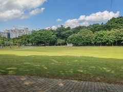 -莲花山公园