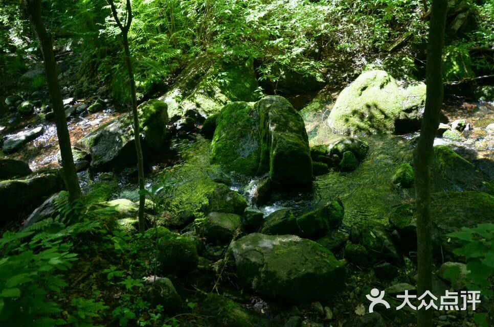 香爐山國家森林公園圖片 - 第21張