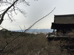 -有栖山 清光院 清水寺
