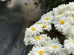 -贵州省植物园