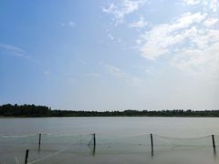 -东滩湿地公园观海楼餐厅