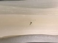 -超越炭火牛蛙火锅鸡(河东店)