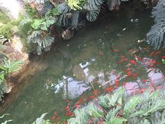 -南通洲际绿博园