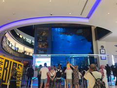 -迪拜水族馆及水下动物园