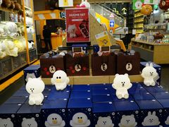 -line friends(明洞旗舰店)