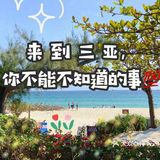 🌴🌴来三亚你不能不知道的事💯
