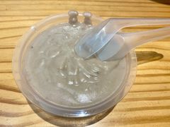 -海丝金凤(金鱼店)
