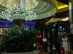 -润园四季椰子鸡火锅(海上世界店)
