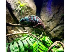 -成都浩海立方海洋公园