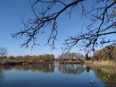 -长兴太湖图影湿地文化园