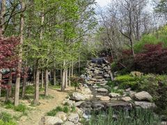 -大连植物园