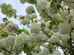 -大龙山(地铁站)