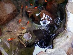 -谷关伊豆日式露天温泉