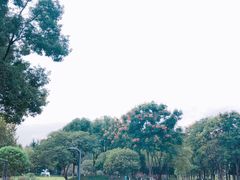 -后襄河公园