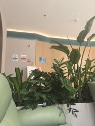-LIHER北京丽合医疗美容医院