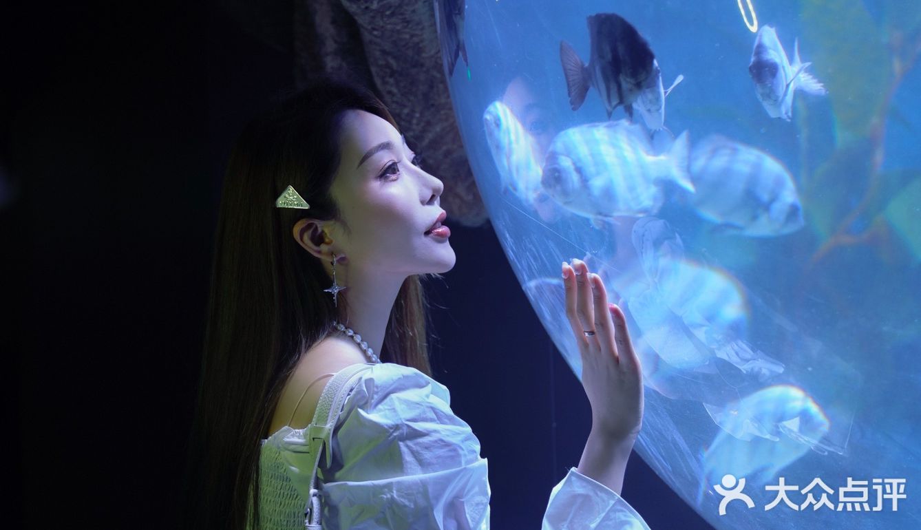 超出片｜青岛海底世界🐠小长假约起来
