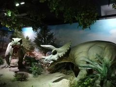 -国家自然博物馆