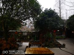 -青城甲(青城山店)