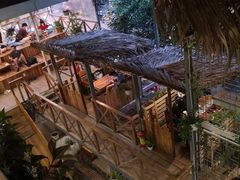 -Rainforest