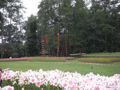 -保利石象湖景区