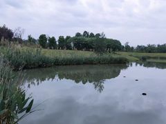 -两河城市森林公园