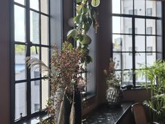 -滇野云南野生菌餐厅
