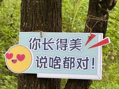 -帽儿山风景区
