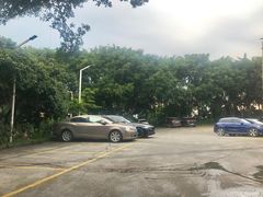 -荔城生鲜盛宴(番禺旗舰店)