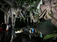 -苏州海洋馆
