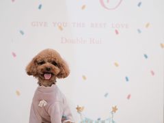 -Double Rui宠物酒店