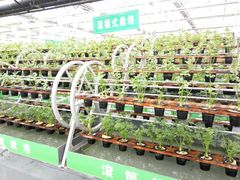 -兰陵国家农业公园