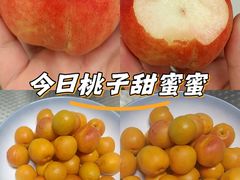 -万象汇