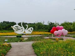 -东郊湿地公园