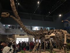 -自贡恐龙博物馆