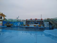 -海合安青岛极地海洋公园