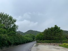 -青岛森林野生动物世界